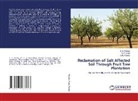 A. K. Pandey, C. S. Pandey, R. P. Singh - Reclamation of Salt Affected Soil Through Fruit Tree Plantation