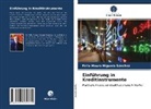 Félix Mauro Higuera Sánchez - Einführung in Kreditinstrumente