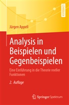 Jürgen Appell - Analysis in Beispielen und Gegenbeispielen