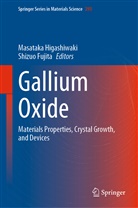 Fujita, Fujita, Shizuo Fujita, Masatak Higashiwaki, Masataka Higashiwaki - Gallium Oxide