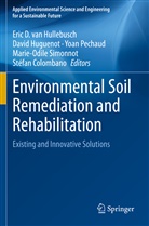 Stéfan Colombano, Davi Huguenot, David Huguenot, Eric D. van Hullebusch, Yoan Pechaud, Yoan Pechaud et al... - Environmental Soil Remediation and Rehabilitation