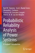 Francisco M. Gonzalez-Longatt, Mart A. M. M. van der Meijden, José Rueda Torres, José L Rueda Torres, José L. Rueda Torres, Ale Stefanov... - Probabilistic Reliability Analysis of Power Systems