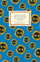 Herman Hesse, Hermann Hesse, Volker Michels - Piktors Verwandlungen