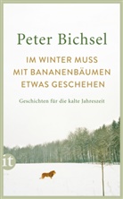 Peter Bichsel, Schneider Adrienne - Im Winter muss mit Bananenbäumen etwas geschehen