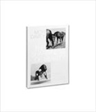 Moyra Davey, Davey Moyra, Peter Hujar, Hujar Peter - The Shabbiness of Beauty