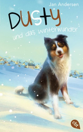 Jan Andersen - Dusty und das Winterwunder