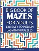 Dylanna Press - Big Book of Mazes for Adults