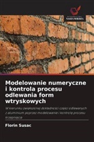 Florin Susac - Modelowanie numeryczne i kontrola procesu odlewania form wtryskowych
