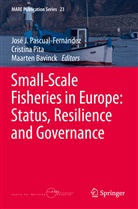 Maarten Bavinck, José J. Pascual-Fernández, Cristin Pita, Cristina Pita - Small-Scale Fisheries in Europe: Status, Resilience and Governance