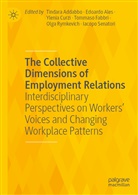 Tindara Addabbo, Edoard Ales, Edoardo Ales, Ylenia Curzi, Ylenia Curzi et al, Tommaso Fabbri... - The Collective Dimensions of Employment Relations