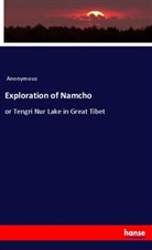 Anonymous - Exploration of Namcho