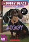 Ellen Miles - Ziggy (the Puppy Place #21)
