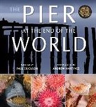 Paul Erickson, Andrew Martinez - The Pier at the End of the World