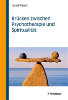 Harald Walach, Harald (Prof.) Walach - Brücken zwischen Psychotherapie und Spiritualität