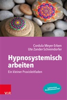 Cordula Meyer-Erben, Ute Zander-Schreindorfer - Hypnosystemisch arbeiten: Ein kleiner Praxisleitfaden