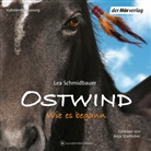 Lea Schmidbauer, Anja Stadlober - Ostwind - Wie es begann, 6 Audio-CD (Audio book)