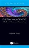 Valentin A Boicea, Valentin A. Boicea, Valentin A. (University of Bucharest Boicea, Valentin A. (University Politehnica of Buc Boicea - Energy Management