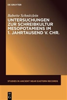 Babette Schnitzlein - Untersuchungen zur Schreibkultur Mesopotamiens im 1. Jahrtausend v. Chr.