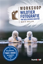 Mario Müller - Workshop Wildtierfotografie vor der eigenen Haustür