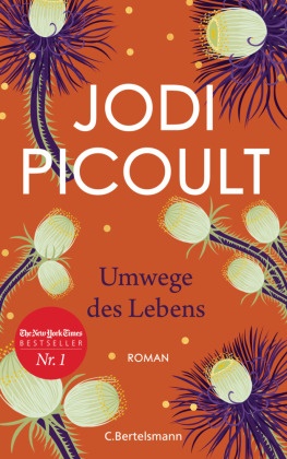 Jodi Picoult - Umwege des Lebens - Roman