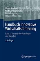 Alexander Fink, Philip Pongratz, Philip Pongratz u a, Jürgen Stember, Matthia Vogelgesang, Matthias Vogelgesang - Handbuch Innovative Wirtschaftsförderung: Handbuch Innovative Wirtschaftsförderung