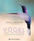 Josef H. Reichholf - Vögel auf Instagram