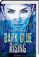 Teri Terry, Wolfram Ströle - Dark Blue Rising (Bd. 1)