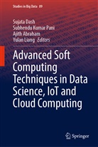 Ajith Abraham, Ajith Abraham et al, Sujata Dash, Subhend Kumar Pani, Subhendu Kumar Pani, Yulan Liang... - Advanced Soft Computing Techniques in Data Science, IoT and Cloud Computing