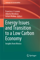 Francisco J. Lozano, Albert Mendoza, Alberto Mendoza, Arturo Molina - Energy Issues and Transition to a Low Carbon Economy