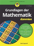 Judith Muhr, Mark Zegarelli - Grundlagen der Mathematik für Dummies