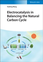 Yaobing Wang - Electrocatalysis in Balancing the Natural Carbon Cycle