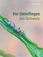 Christian Roesti - Die Steinfliegen der Schweiz