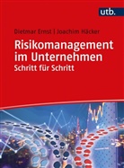 Dietmar Ernst, Dietmar (Prof. Dr. Dr.) Ernst, Joachim Häcker, Joachim (Pr Häcker - Risikomanagement im Unternehmen Schritt für Schritt