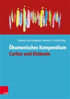 Ulrich Lilie, K Schäfer, K Schäfer, Andrea Lob-Hüdepohl, Andreas Lob-Hüdepohl, Gerhard K. Schäfer - Ökumenisches Kompendium Caritas und Diakonie