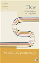 Mihaly Csikszentmihalyi, Csikszentmihalyi Mihaly - Flow