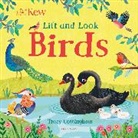 Tracy Cottingham, Tracy Cottingham, Cottingham Tracy - Lift and Look Birds