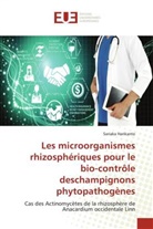 Sariaka Harikanto - Les microorganismes rhizosphériques pour le bio-contrôle deschampignons phytopathogènes
