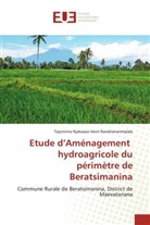 Tojonirina Njakaso Randrianarimalala, Tojonirina Njakasoa Henri Randrianarimalala - Etude d'Aménagement hydroagricole du périmètre de Beratsimanina