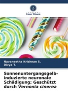 Navaneetha Krishna S, Navaneetha Krishnan S., Divya T, Divya T. - Sonnenuntergangsgelb-induzierte neuronale Sch&auml;digung; Gesch&uuml;tzt durch Vernonia cinerea