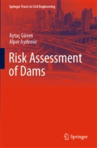 Alper Aydemir, Aytaç Güven - Risk Assessment of Dams
