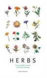 Jennie Harding - Herbs