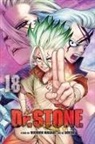 Riichiro Inagaki, Riichiro Inagaki, BOICHI - Dr stone vol 18