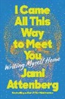 Jami Attenberg - I Came All This Way to Meet You