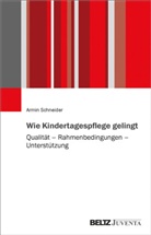 Armin Schneider - Wie Kindertagespflege gelingt