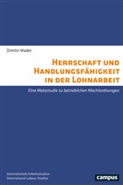 Alexander Dimitri Mader, Dimitri Mader, Isabell Mader - Herrschaft und Handlungsfähigkeit in der Lohnarbeit