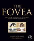 Andreas Bringmann, Andreas (Head of the Research Laborator Bringmann, Andreas (Head of the Research Laboratory of the Department of Ophthalmology and Eye Hospital Bringmann, Bringmann Andreas, Peter Wiedemann, Peter (Head of the Department of Ophthalmology and Eye Hospital Wiedemann... - Fovea