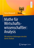 Teres Marquardt, Teresa Marquardt, Studybees GmbH - Mathe für Wirtschaftswissenschaftler: Analysis