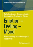 Malte Brinkmann, Johanne Türstig, Johannes Türstig, Martin Weber-Spanknebel - Emotion - Feeling - Mood