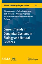 Maira Aguiar, Carlo Braumann, Carlos Braumann, Bob W. Kooi, Andrea Pugliese, Nico Stollenwerk... - Current Trends in Dynamical Systems in Biology and Natural Sciences