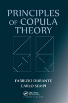Fabrizio Durante, Fabrizio Sempi Durante, Durante Fabrizio, Carlo Sempi, Sempi Carlo - Principles of Copula Theory
